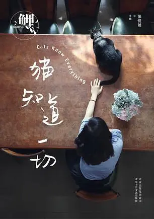 鲤．猫知道一切
