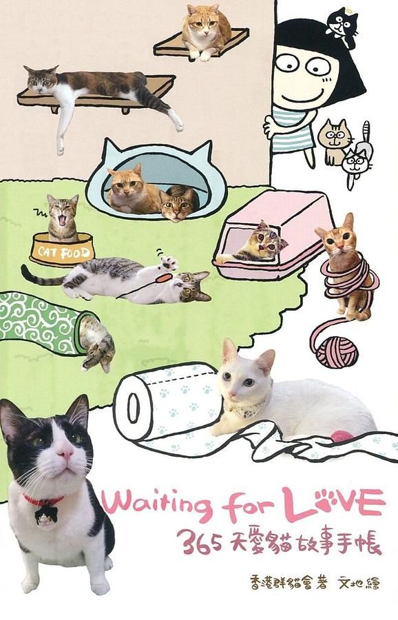 Waiting for Love: 365天愛貓故事手帳
