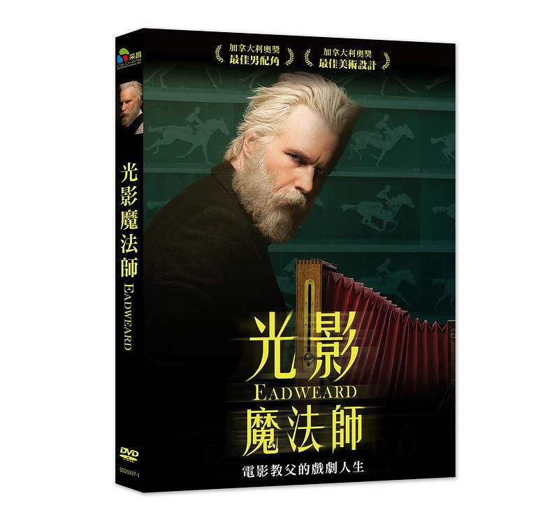 光影魔法師