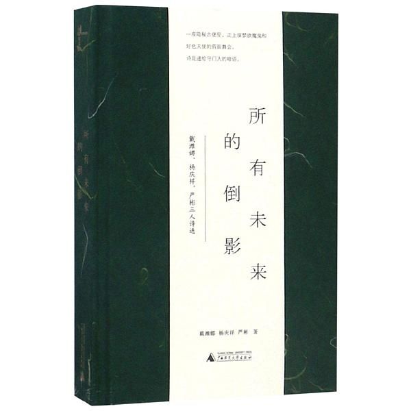 所有未来的倒影: 戴潍娜、杨庆祥、严彬三人诗选