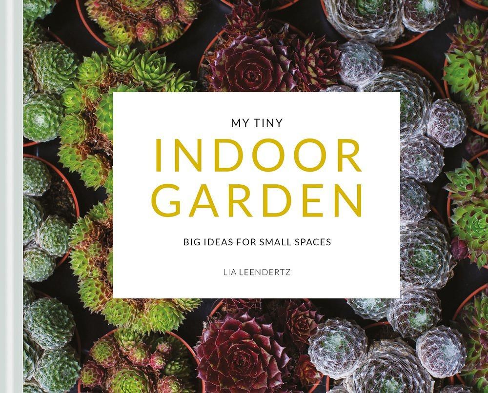 My Tiny Indoor Garden: Big Ideas for Small Spaces