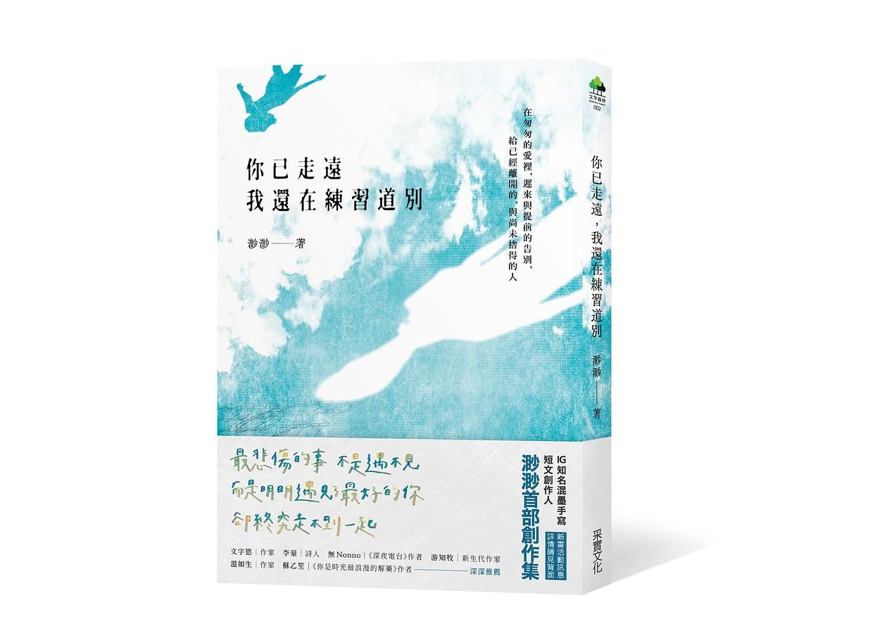 你已走遠, 我還在練習道別