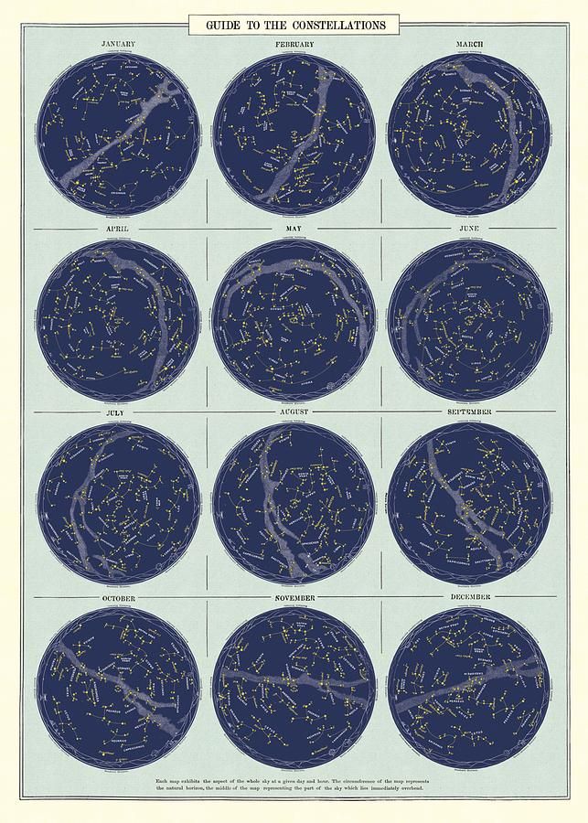 美國 Cavallini 包裝紙/ 十二星座