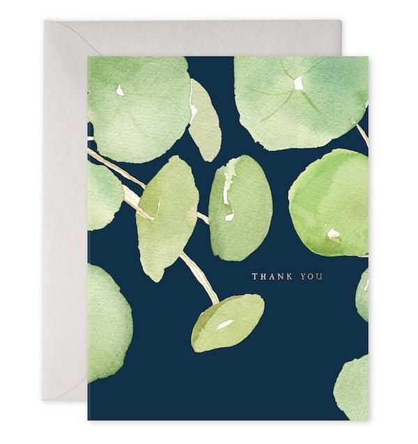 E. FRANCES感謝卡/ Pancake Plant Thank You深藍底鏡面草