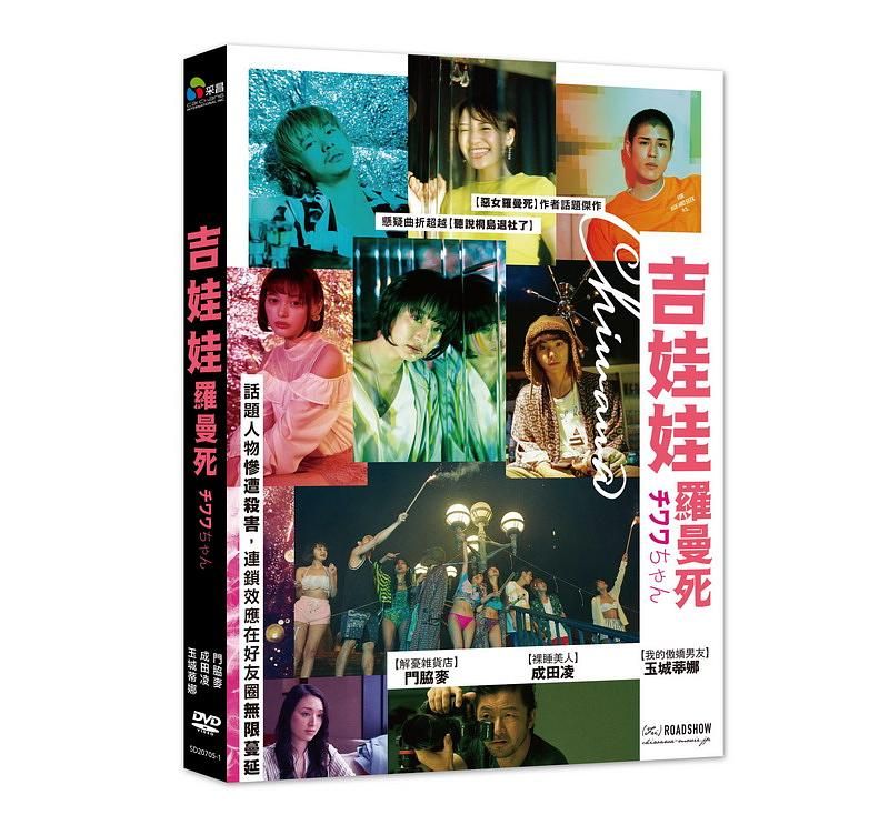 吉娃娃羅曼死