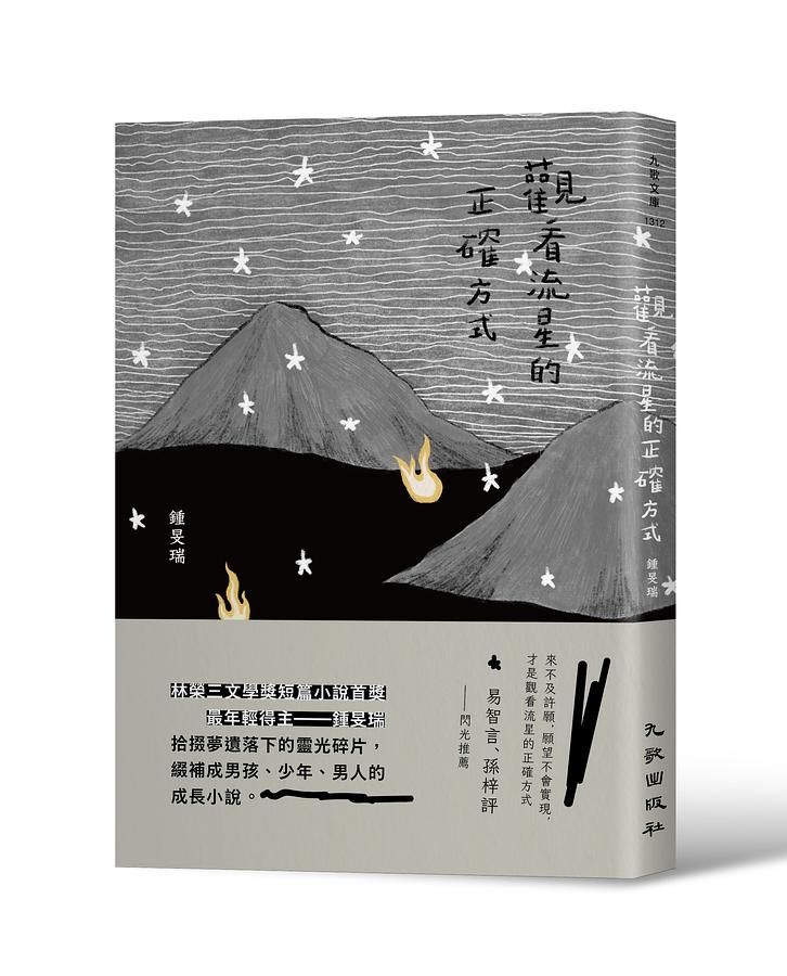 觀看流星的正確方式