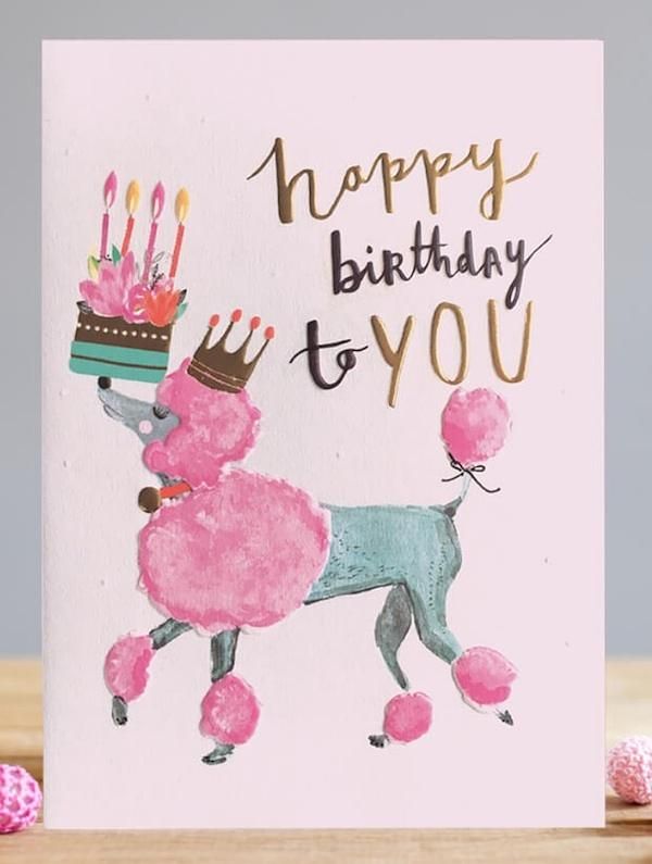 LOUISE TILER生日卡/ Poodle & Cake粉紅貴賓犬