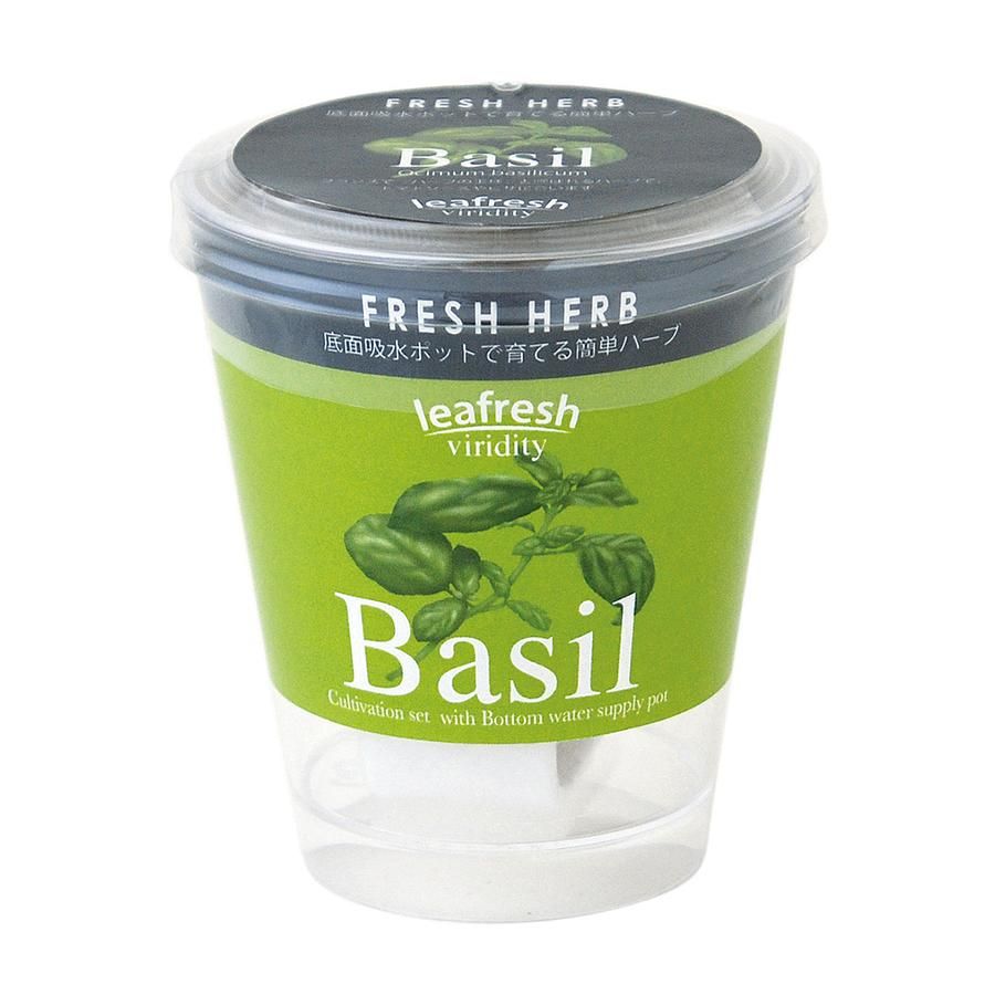 聖新陶芸Fresh Herb食用香草水耕栽培組/ 羅勒