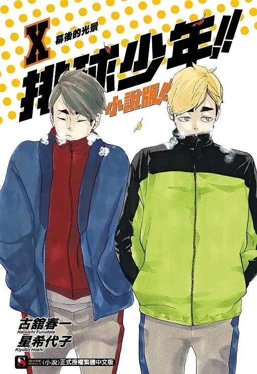 排球少年!! 小說版!! 10: 幕後的光景