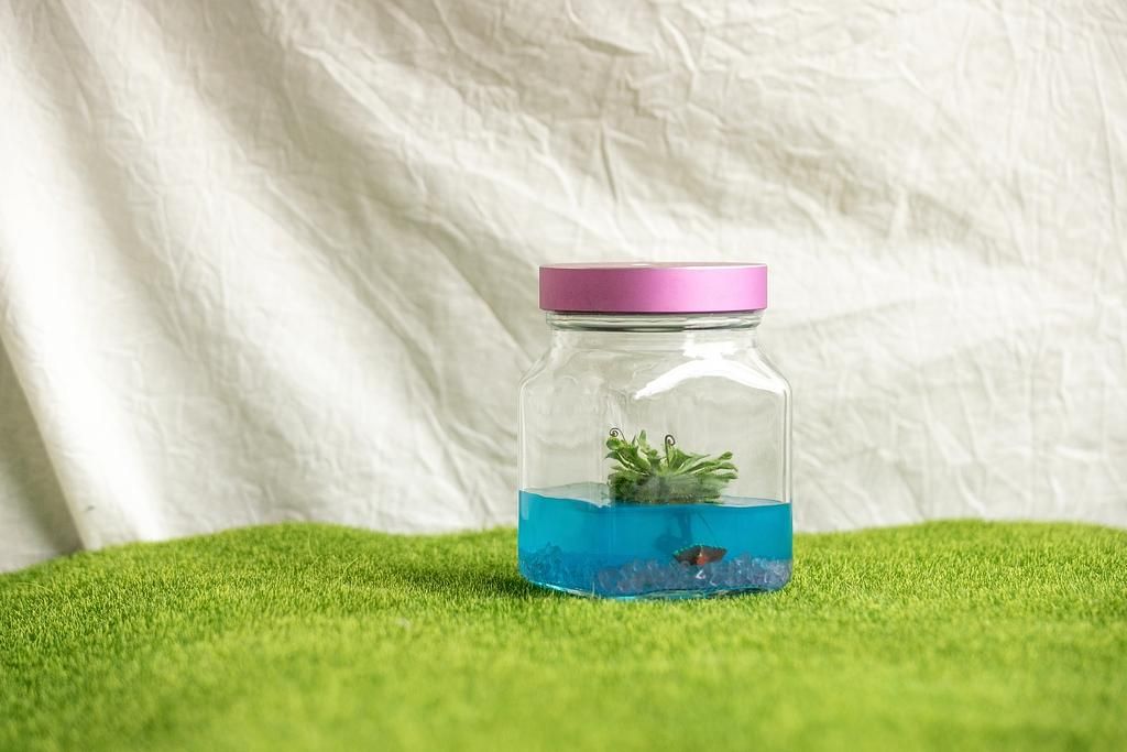 小室瓶栽工業風毛氈苔/ 2號瓶/ 暗夜海洋