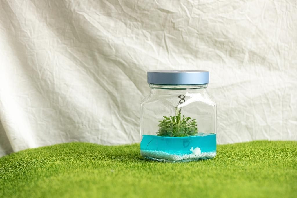 小室瓶栽工業風毛氈苔/ 2號瓶/ 蔚藍海洋
