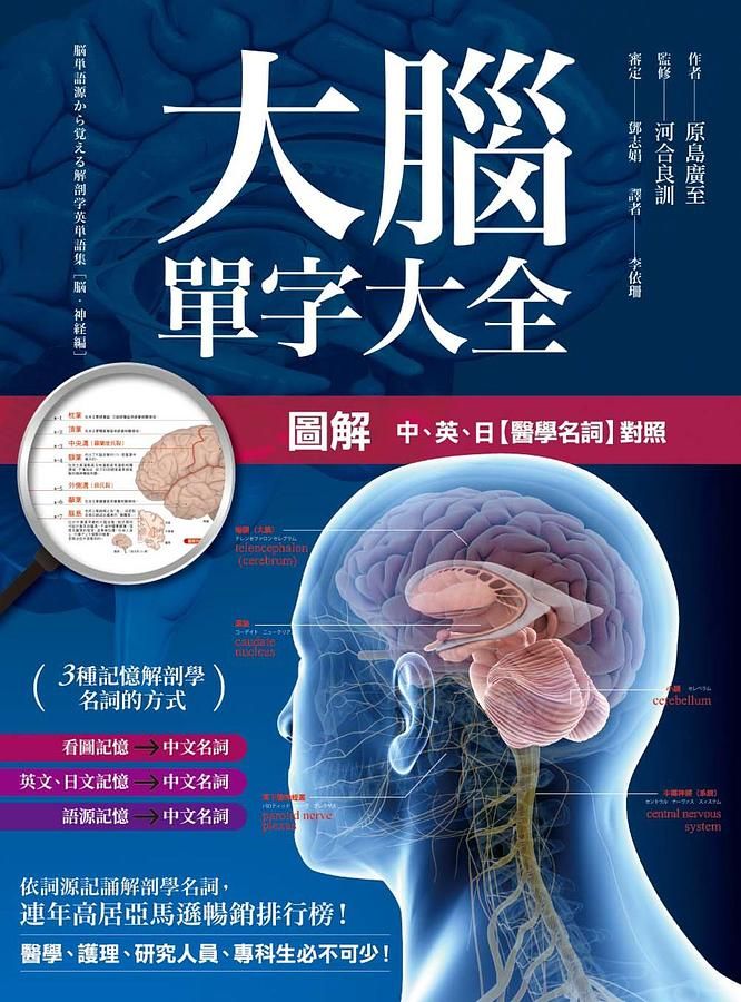 圖解大腦單字大全