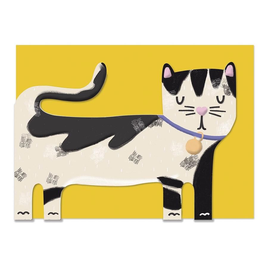 英國RASPBERRY BLOSSOM 萬用卡/ Black & White Cat