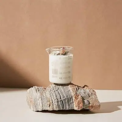 MAYBES AROMA白透感小燒杯乾燥花精油香氛大豆蠟燭/ 50g/ 玫瑰