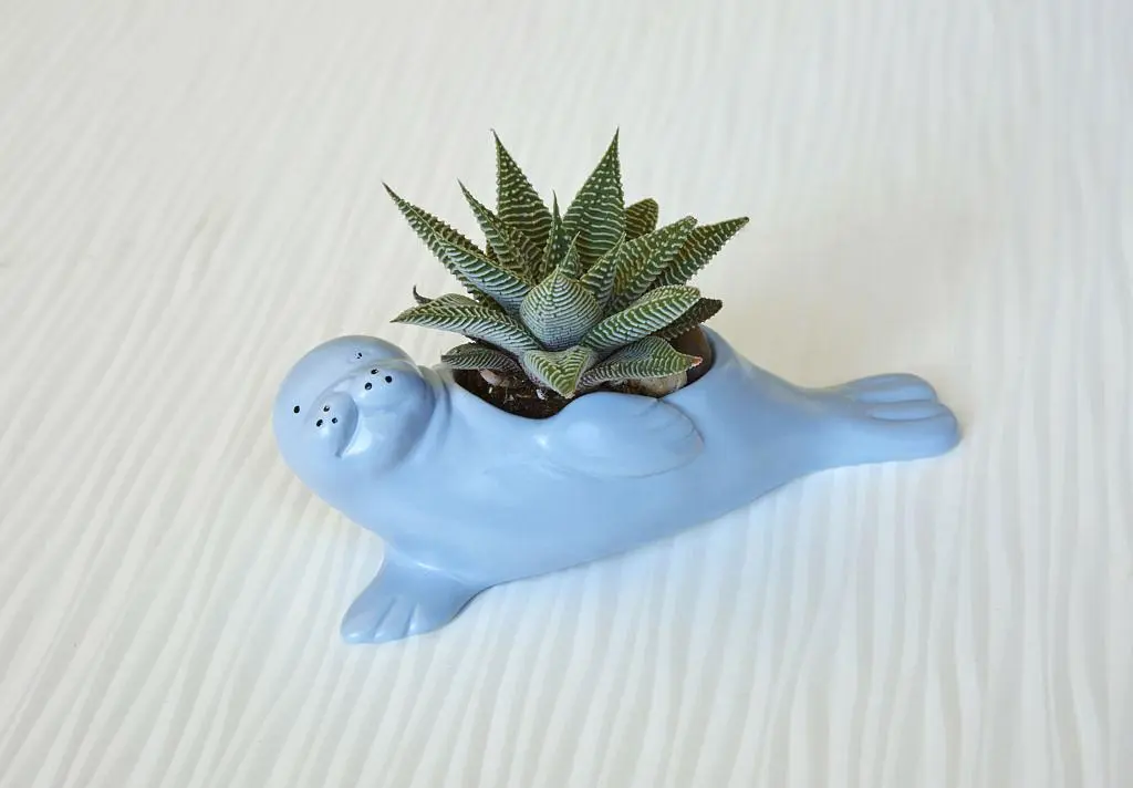 美國 KIKKERLAND 海獅花盆