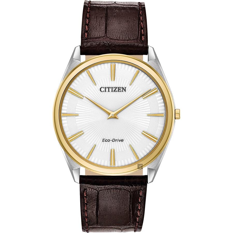CITIZEN 星辰 Eco-Drive 光動能紳士薄型手錶-金圈x咖啡/38mm AR3074-03A