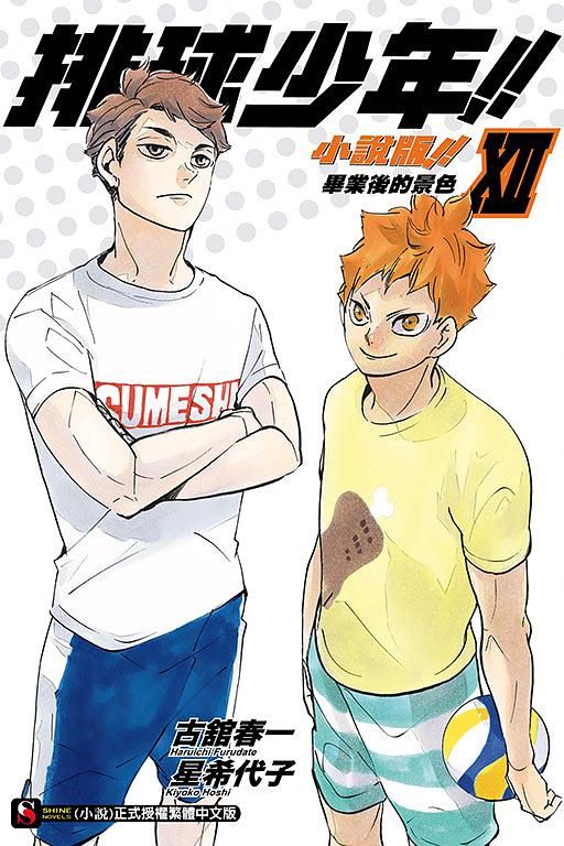 排球少年!! 小說版!! 12: 畢業後的景色