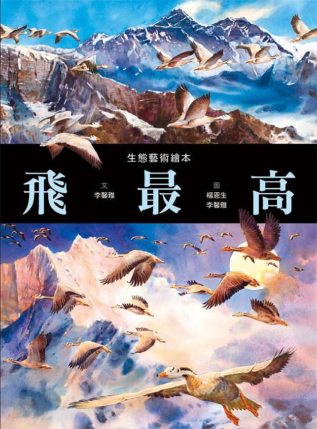 飛最高
