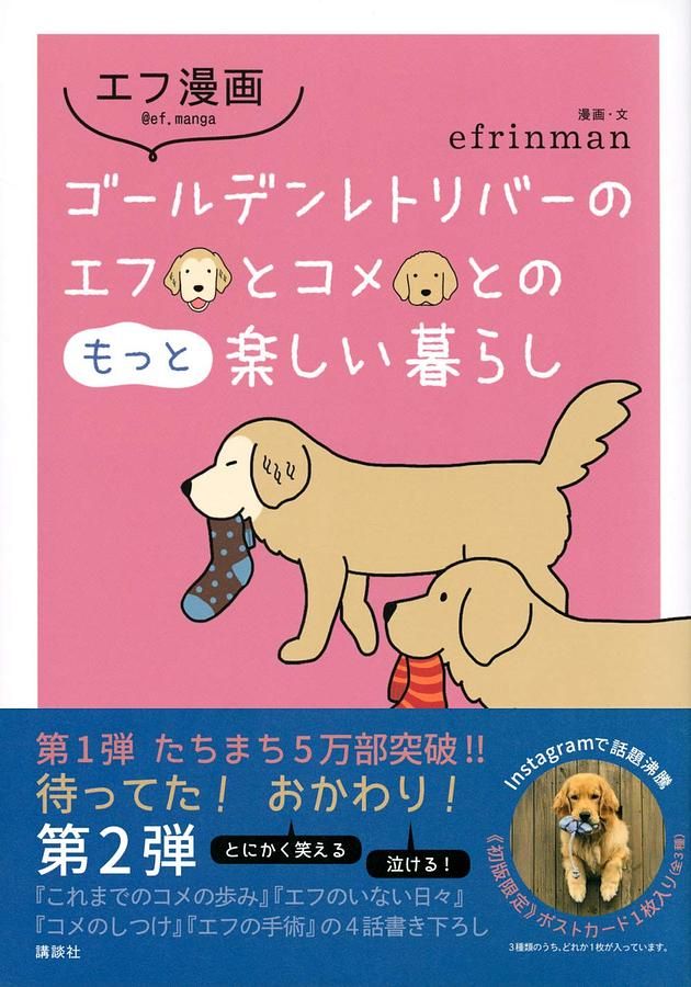 エフ漫画 ゴールデンレトリバーのエフとコメとのもっと楽しい暮らし