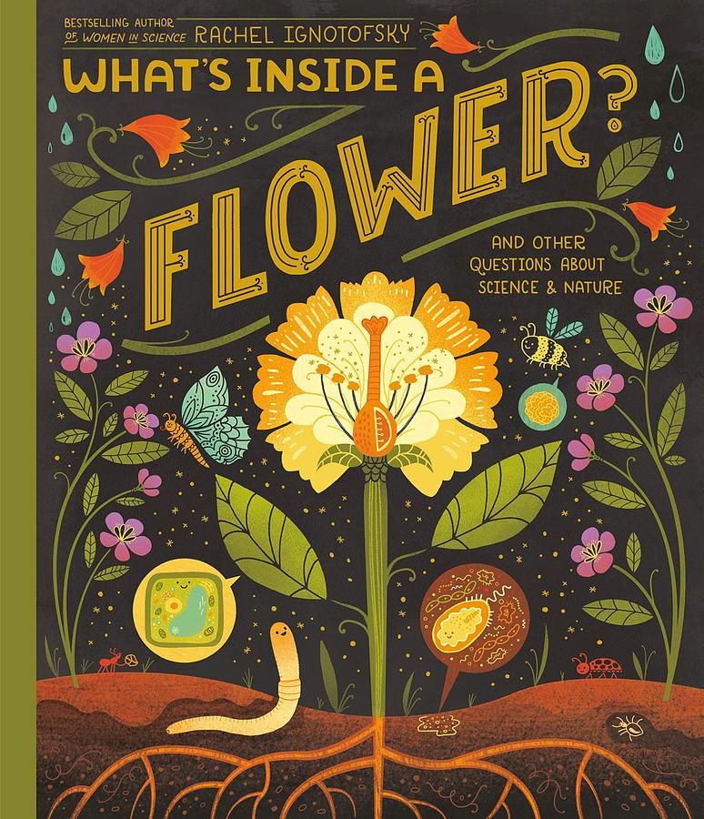 What's Inside a Flower? And Other Questions About Science & Nature