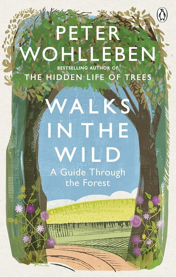Walks in the Wild: A Guide Through the Forest
