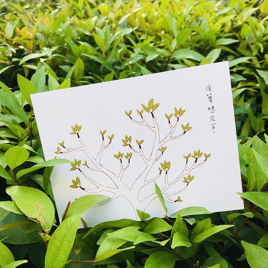 KerKerland明信片/ 讓夢想發芽