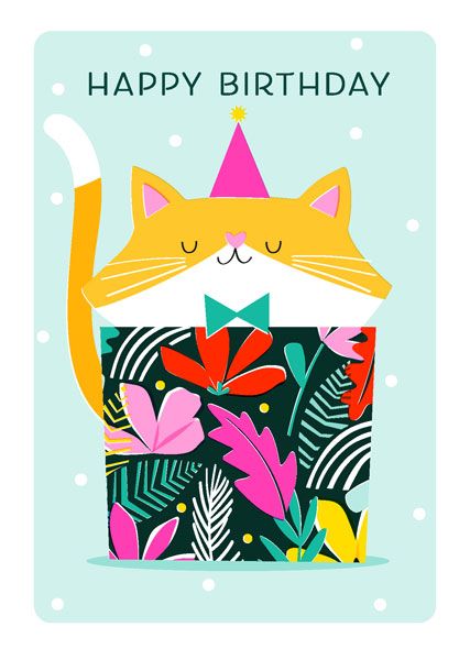 英國ART FILE 生日卡/ Soda Pop/ Cat