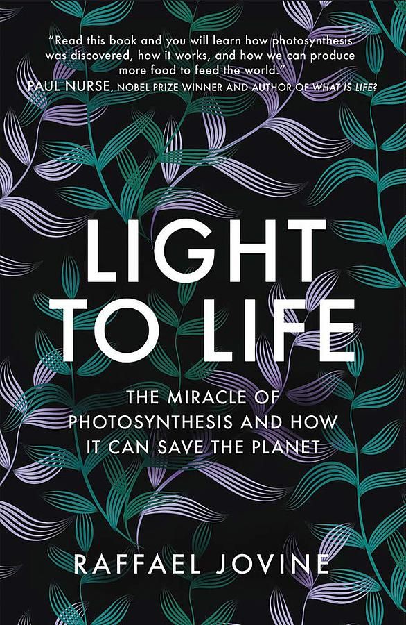 Light to Life: The Miracle of Photosynthesis and How It Can Save the Planet