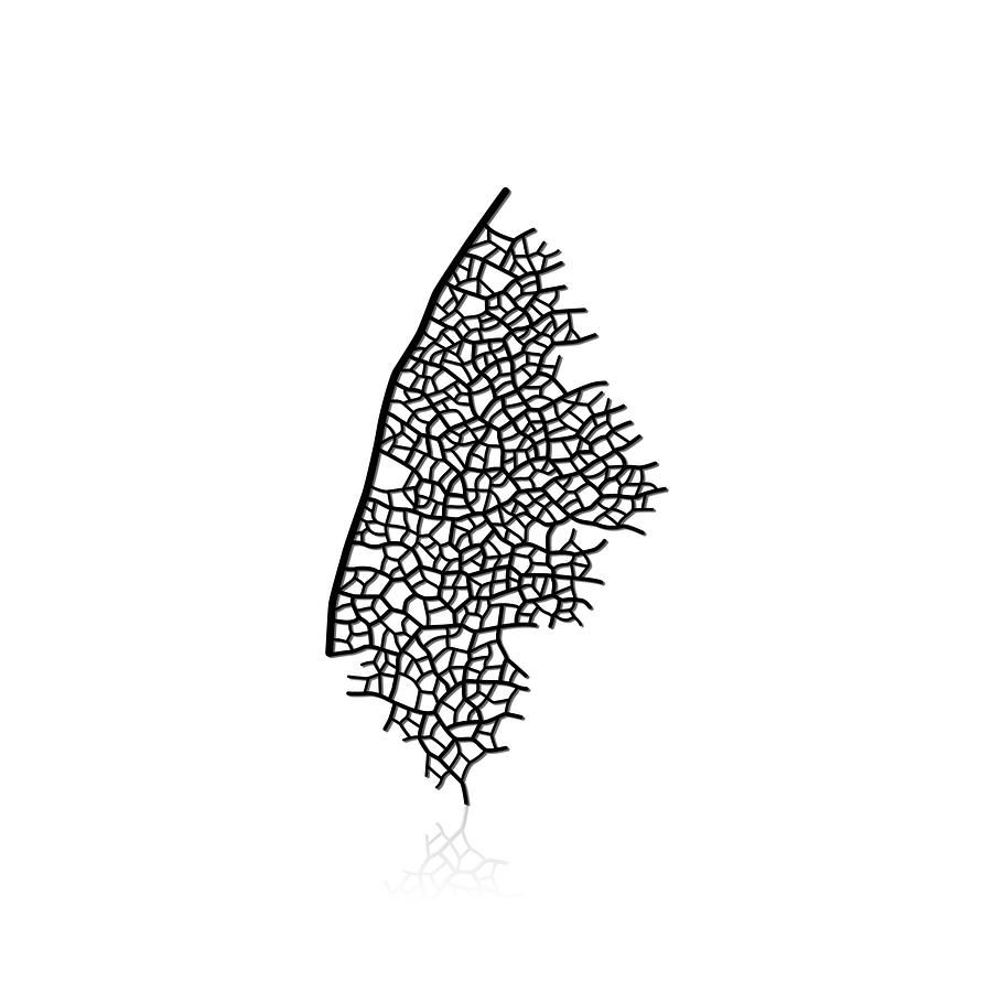 moorigin / 葉脈胸針 M / 黑