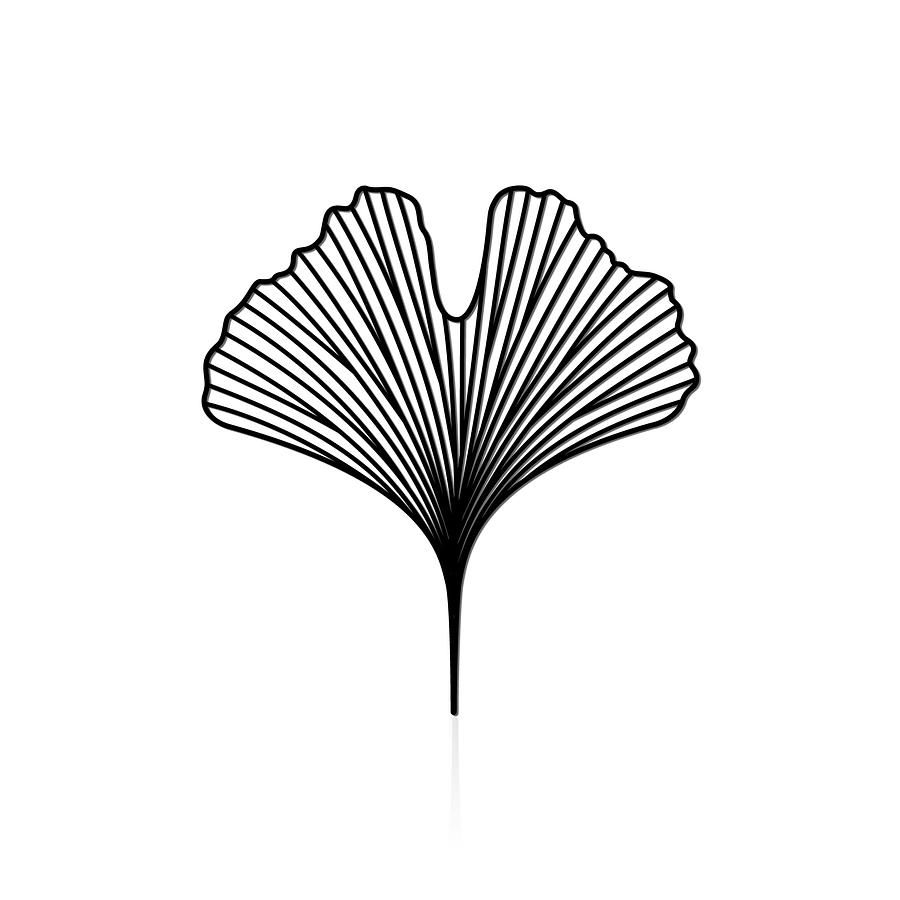 moorigin / 銀杏胸針 M / 黑