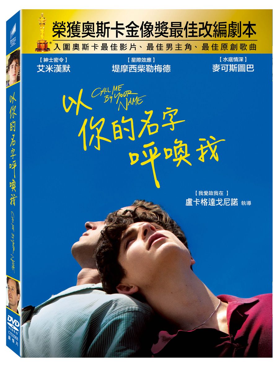 以你的名字呼喚我 (DVD)