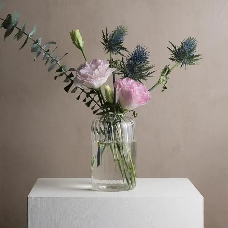 HANSCHIU 瀚思 18星芒/ 花器13/ 晶透