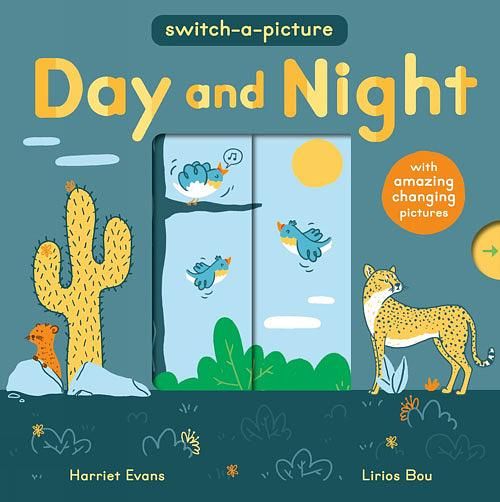 Switch-a-picture: Day and Night