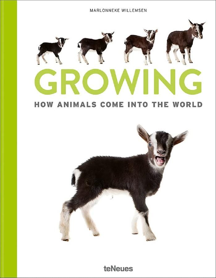 Growing: How Animals Come Into Our World