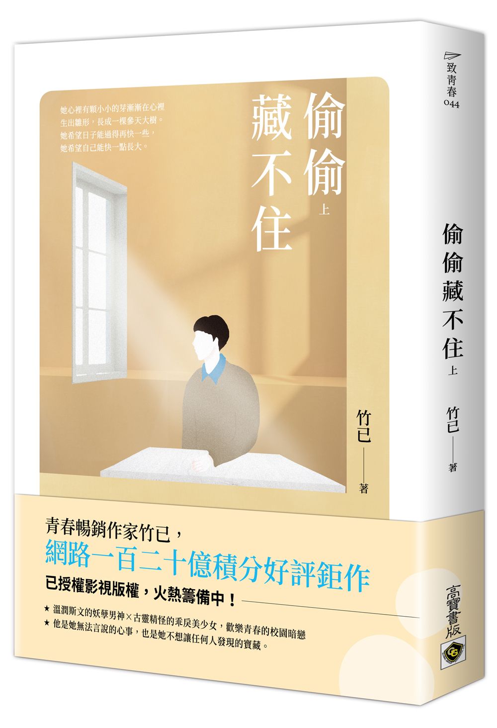 偷偷藏不住 上: Netflix熱播同名電視劇原著小說 