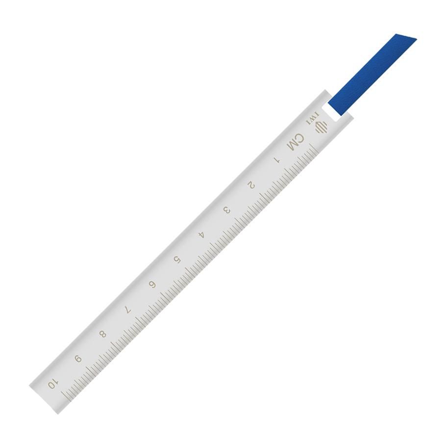 IWI Ruler & Bookmark 迷你皮繩書籤尺/ 國旗藍