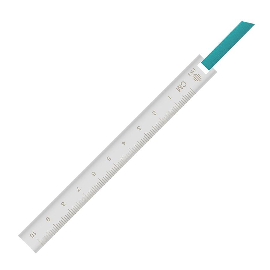 IWI Ruler & Bookmark 迷你皮繩書籤尺/ 青