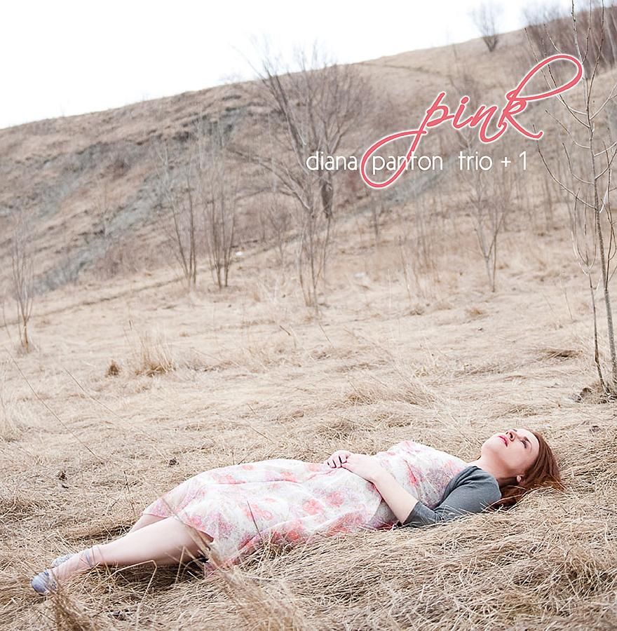 PINK (180g Vinyl/Special Limited Edition)
