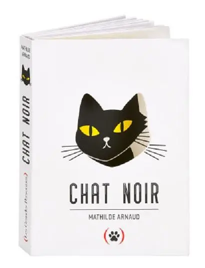 Chat Noir