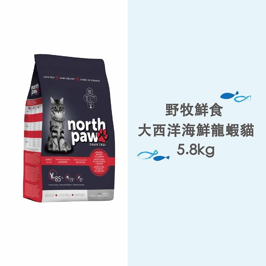 野牧鮮食-大西洋龍蝦貓5.8kg