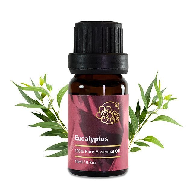 Amour 尤加利精油 Eucalyptus 10ml