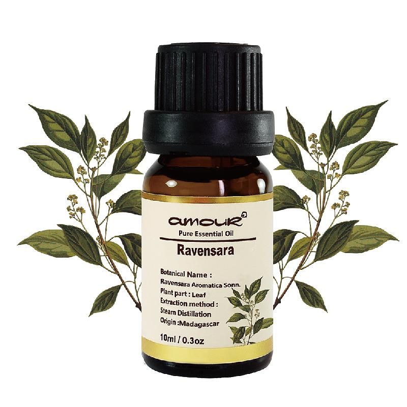 Amour 羅文莎葉精油 Ravensara 10ml
