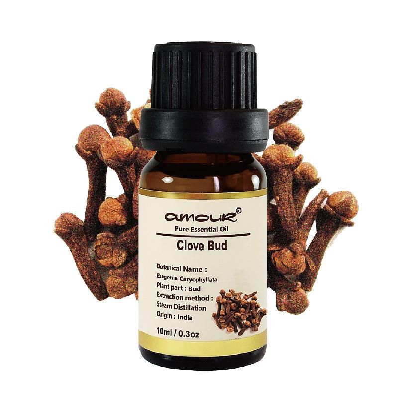 Amour 丁香花苞精油 Clove Bud 10ml