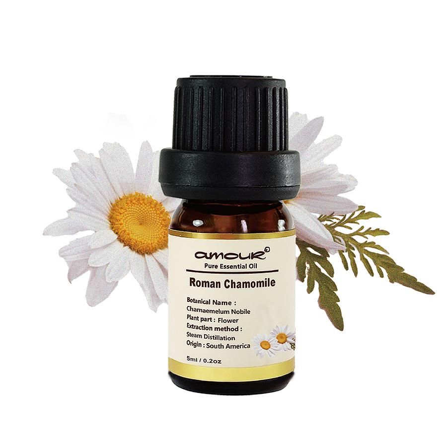 Amour 羅馬洋甘菊精油 Chamomile Roman 5ml