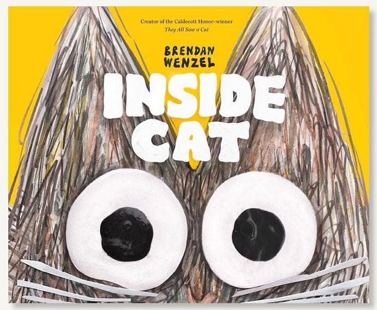 Inside Cat