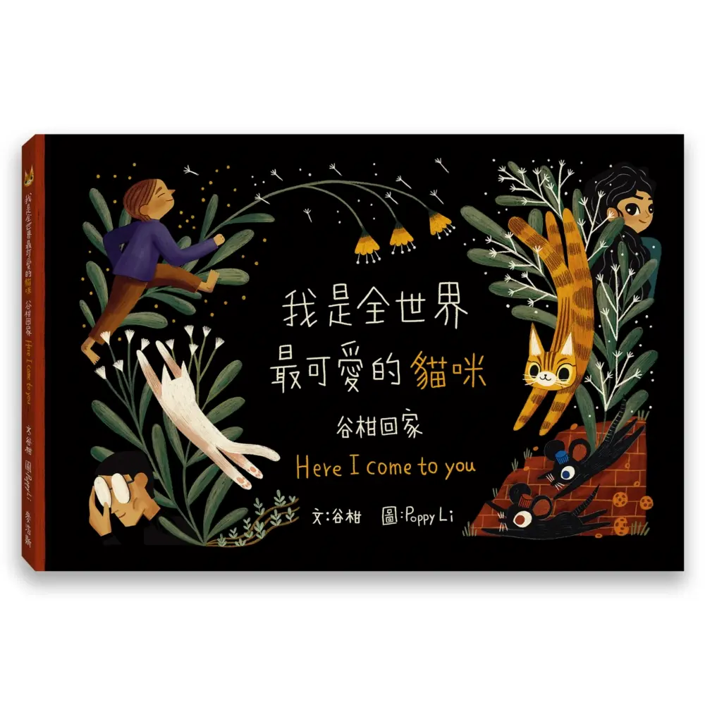 我是全世界最可愛的貓咪: 谷柑回家