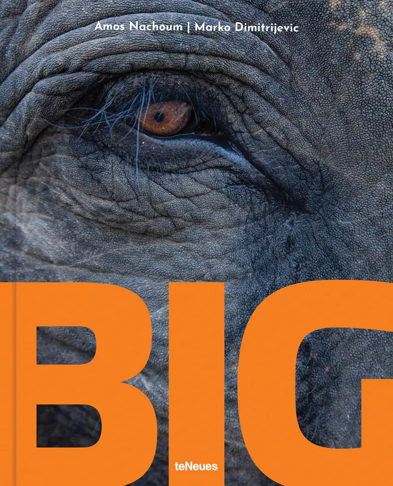 Big: A Photographic Album of the World's Largest Animals