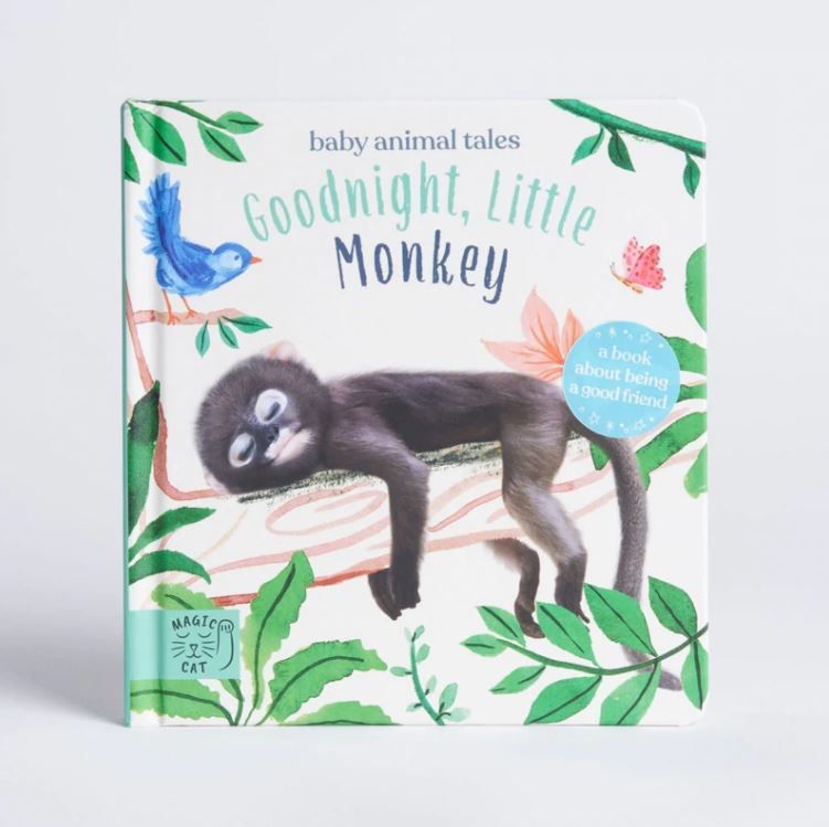 Goodnight, Little Monkey