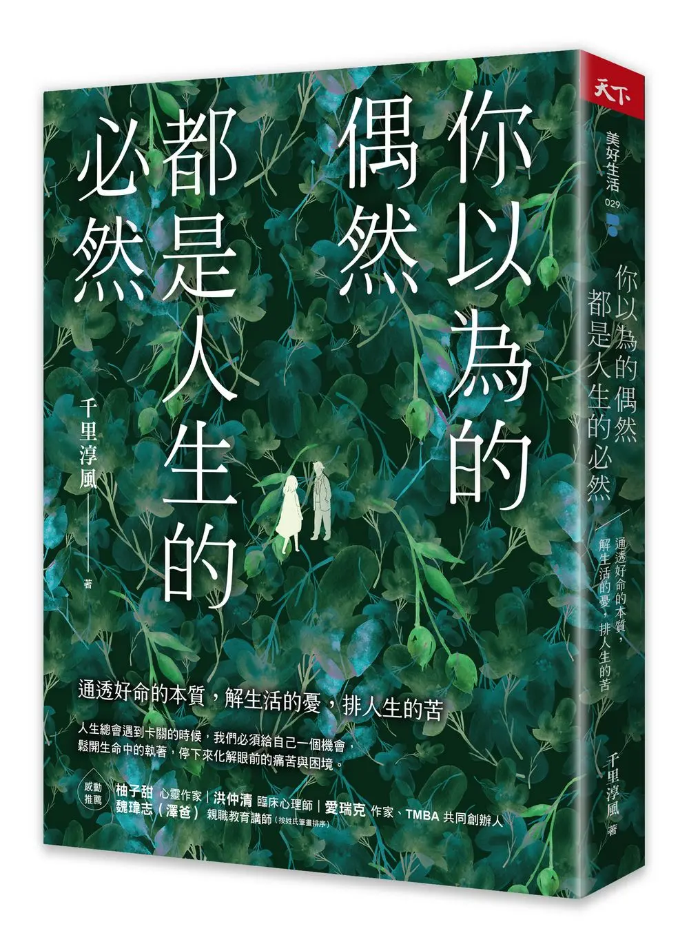 你以為的偶然, 都是人生的必然: 通透好命的本質, 解生活的憂, 排人生的苦