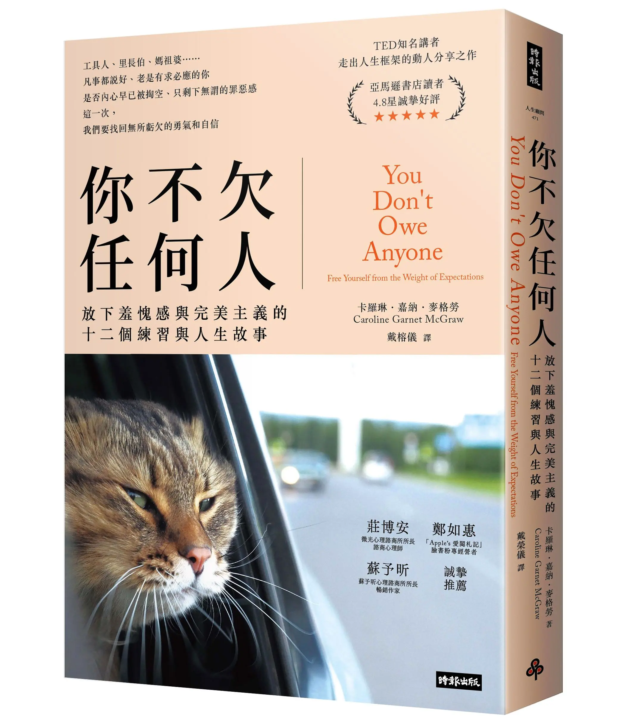 你不欠任何人: 放下羞愧感與完美主義的十二個練習與人生故事